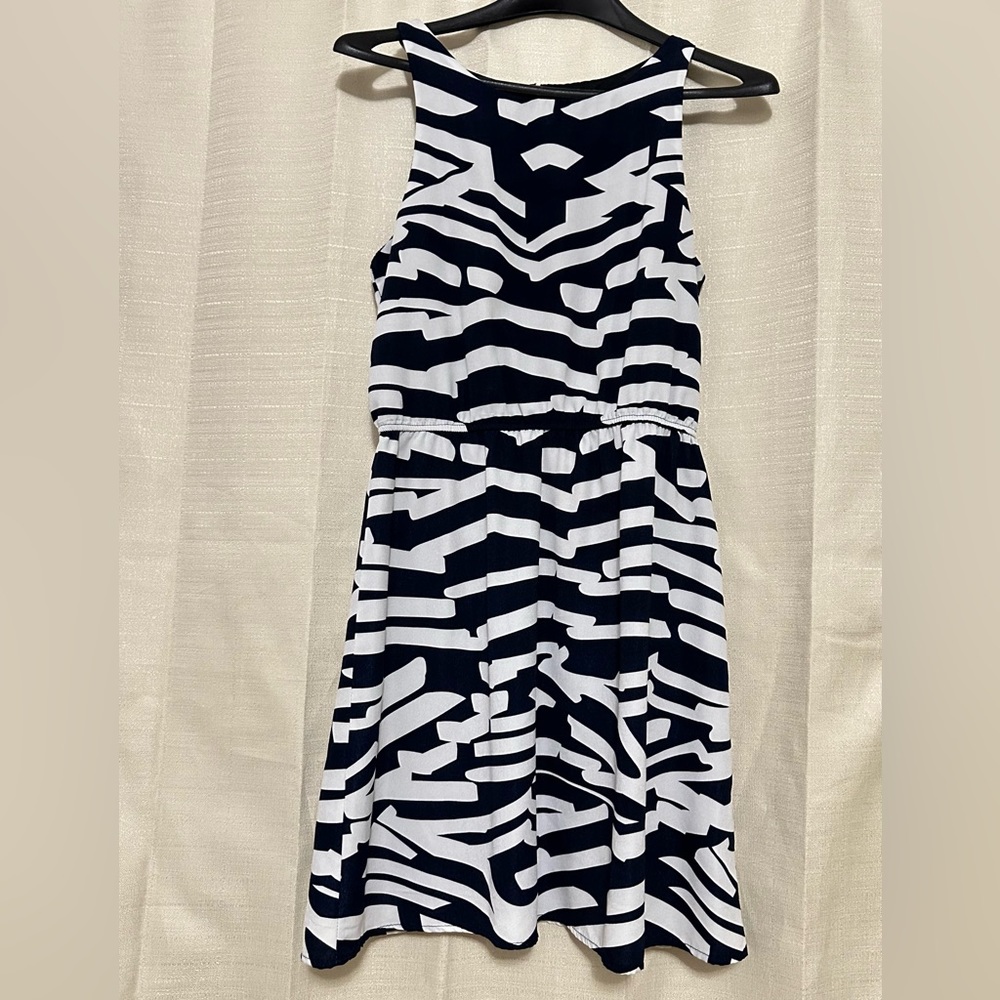 Zebra Print Dress